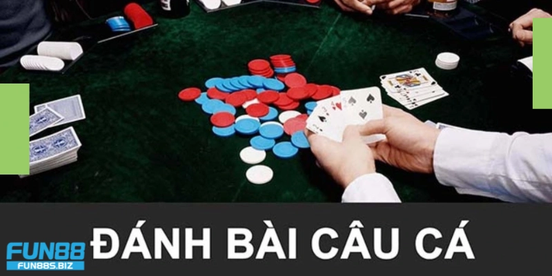 Cách tham gia bài câu cá trực tuyến
