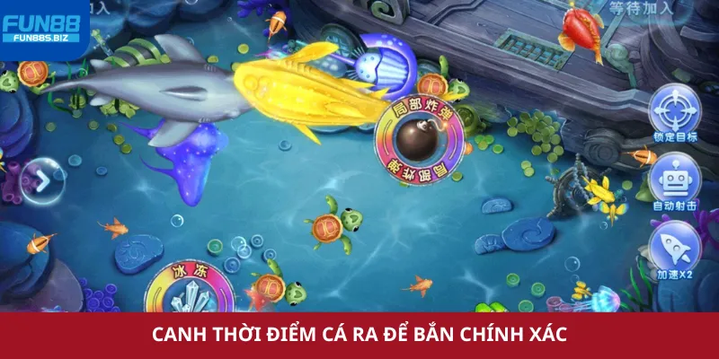 Canh thời điểm cá xuất hiện để bắn chính xác